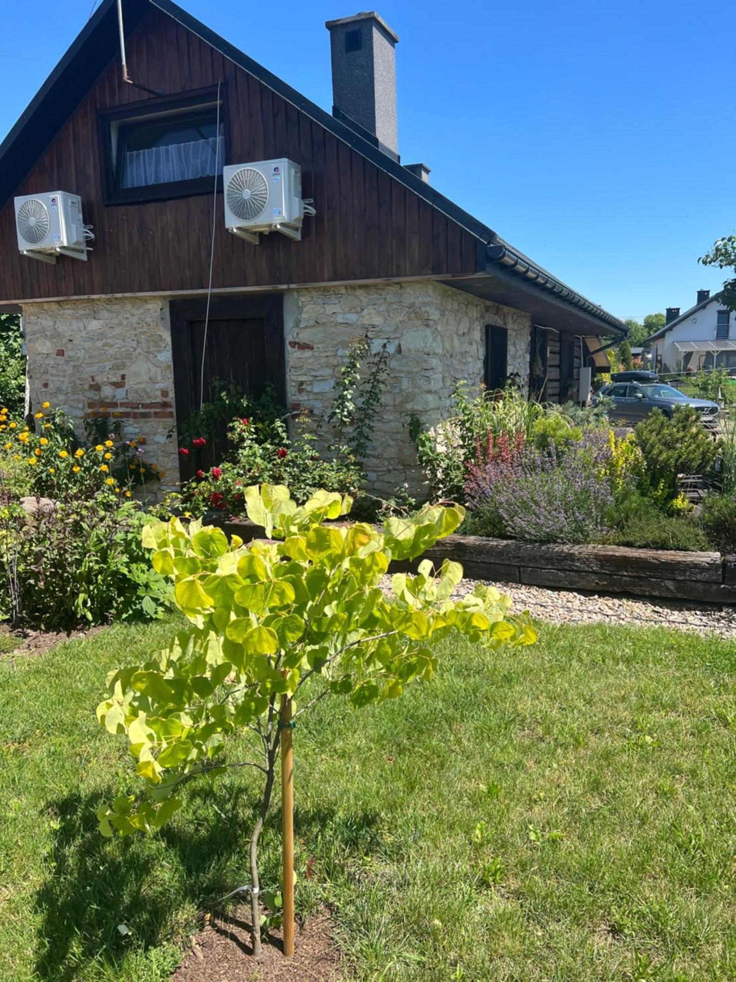 Malinowa Chatka Jankowice  Exterior foto